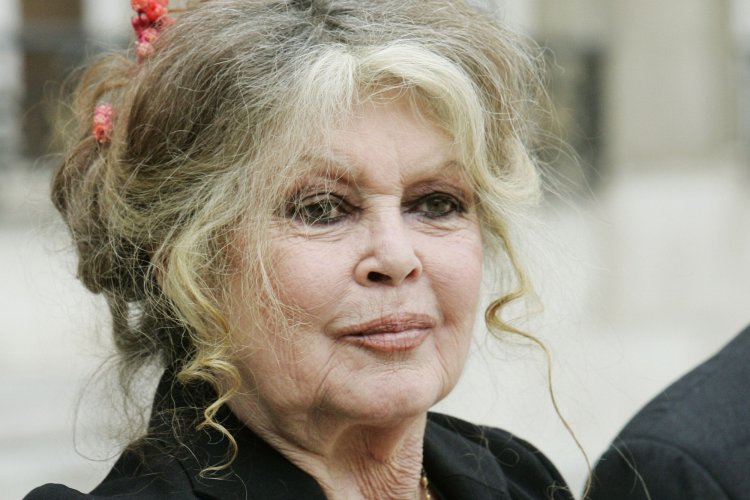 Brigitte Bardot : Actualités Récentes sur sont État de Santé Affaibli